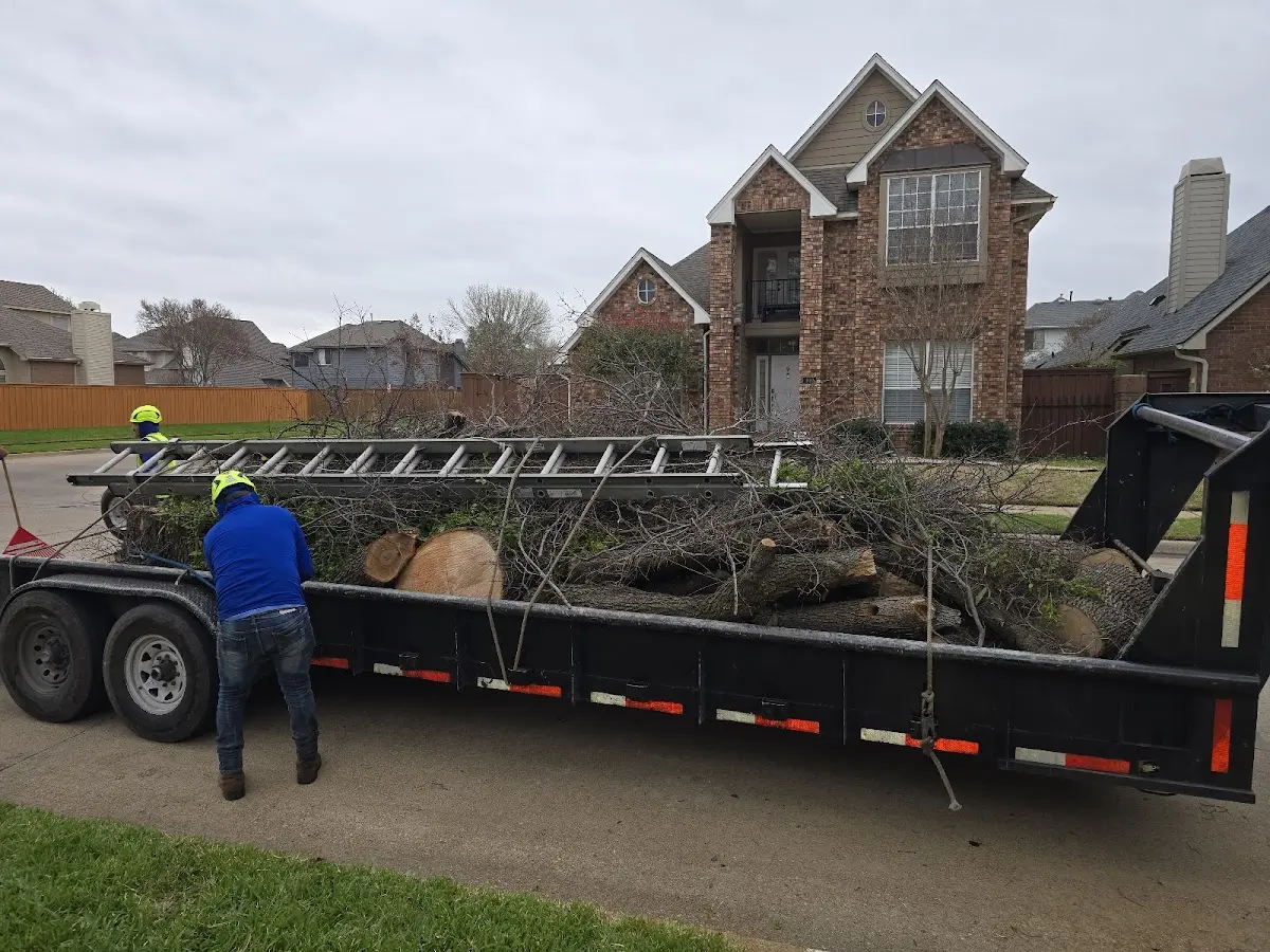 Expert Lot Clearing with proper safety equipment in Millhousen